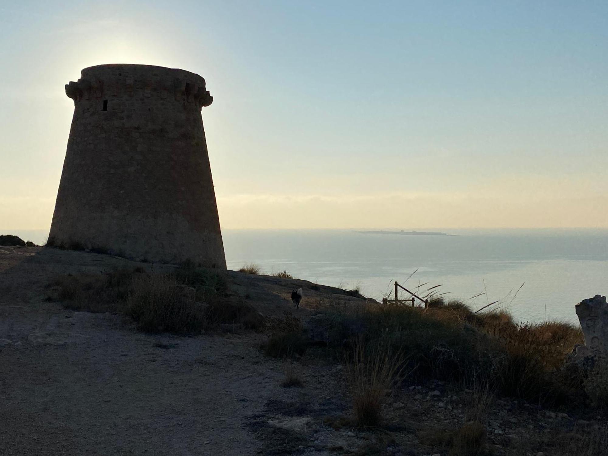 Petirrojo Villa Santa Pola Exterior foto